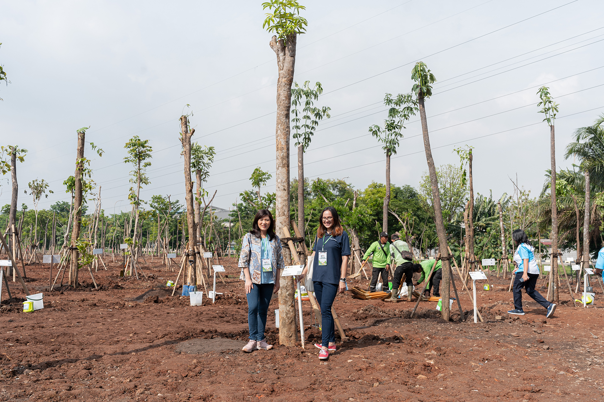 East Ventures donates 200 mahogany trees for the Jakarta greening program with the President of the Republic of Indonesia|East Ventures donates 200 mahogany trees for the Jakarta greening program with the President of the Republic of Indonesia_1|East Ventures donates 200 mahogany trees for the Jakarta greening program with the President of the Republic of Indonesia_2|East Ventures donates 200 mahogany trees for the Jakarta greening program with the President of the Republic of Indonesia_3|East Ventures donates 200 mahogany trees for the Jakarta greening program with the President of the Republic of Indonesia_4