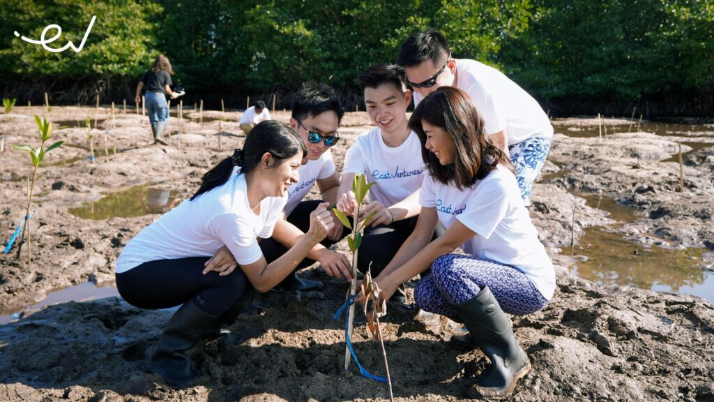 East Ventures menanam mangrove sebagai aksi menuju net-zero