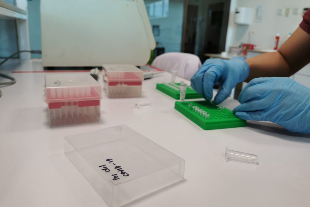 Activity in Nusantics' lab